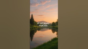 سورة العنكبوت (المنشاوى) #قرآن #اسلام #قران_كريم #سورة_العنكبوت #الله #quran #المنشاوي #islam
