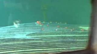 Scale Model Trawl Test