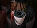Levoit Core 200S Review: Is This The Best Air Purifier for Allergies? (2026 Update)