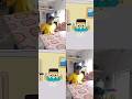 Steve tries to eat cake #animation #viralvideo #memes #viral #comedy #funnyvideo #cat #youtuber
