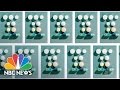 What are quaaludes  101  nbc news