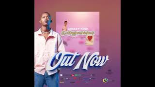 Drizzy Sam-Ungowami(Ft Thux Munice & Njezzify)