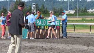 Wiener Dogs Racing at Emerald Downs Race Track  (2)