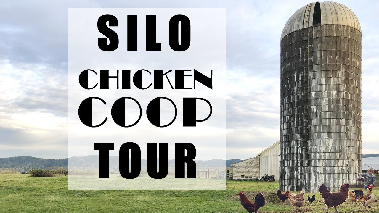Old Silo Chicken Coop Tour! YouTube