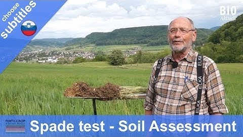 The Spade Test – Visual Soil Assessment in the Field (Sept 2016)
