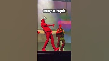 Chris Brown Has So Much Fun on Stage! #concert #chrisbrown