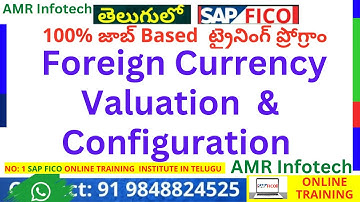 SAP FICO Foreign Currency Valuation in Telugu -  Foreign Currency Valuation Configuration  in Telugu