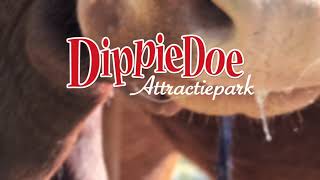 Bijzondere Sollicitanten?