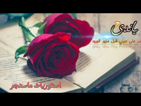 ياندى مر على عيني مع الكلمات المنشد المتألق والمميز دائما علي الدلفي روعة شاهدو
