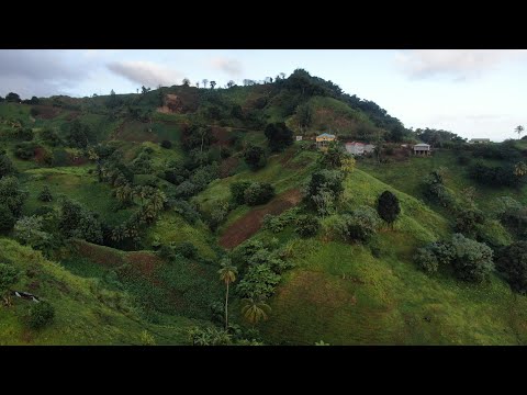 Richland Park Raw aerial footages - Saint Vincent and the Grenadines 2021.