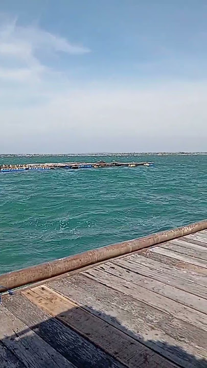 GELOMBANG PASANG 🌊 Ombaknya gede banget gaes!! #gelombangpasang #ombak #laut #lesehanapung