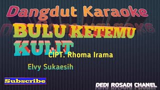 Bulu Bertemu Kulit Rock Dut Elvy Sukaesih Karaoke Tanpa Vokaldedirosadi