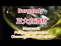 粵語中字 | Burgundy 三大白酒村 | 貓鬚 |Montrachet | Chardonnay