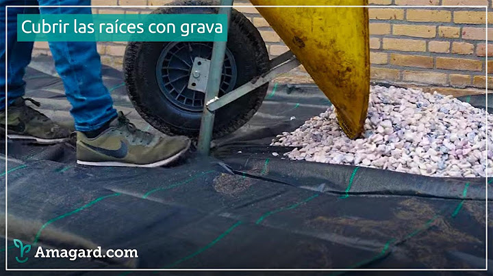 ¿Cómo colocar malla antihierbas con grava en el jardín?