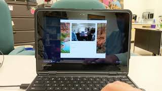 Celebrity 1.6 Login and Logout Procedures Wealth