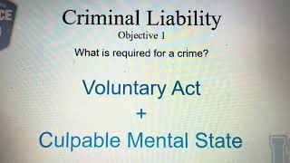 Criminal liability