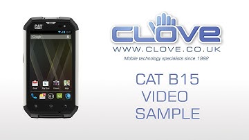 Cat B15 Video Sample