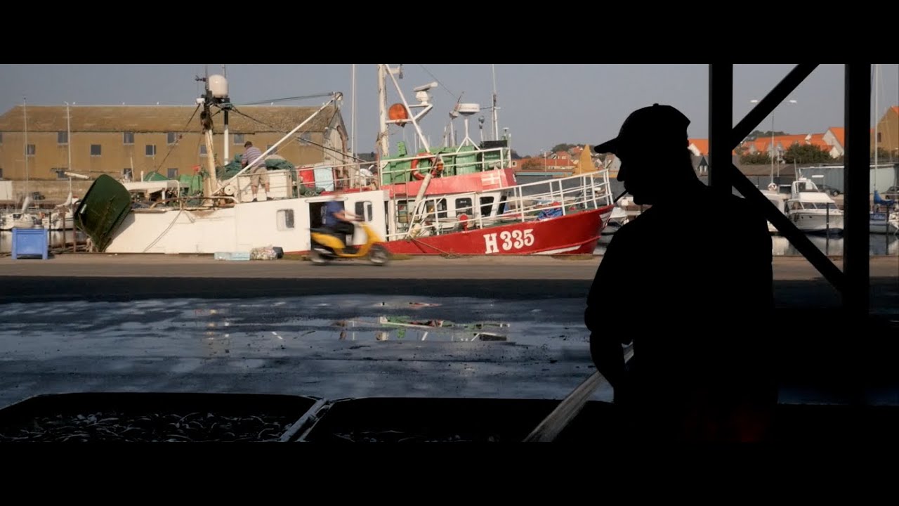 a-s-o-v-j-rgensen-hundested-fiskeeksport-v-2-youtube