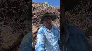 Camper Ile Başladık Bakalim.