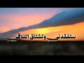 ستفقدني وتشتاق التلاقي  ولن أعود كما كنت   حالتي