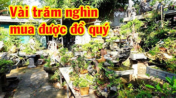 Tiểu cảnh non bộ rẻ nhất thị trường, gỗ lũa, đá quý, bàn ghế đá