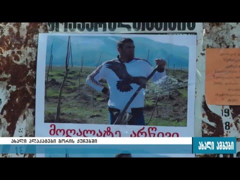 ,,მოღალატე არწივი\"-გორის ქუჩებში ფალელაშვის ფოტოები გამოჩნდა 09.02.2016