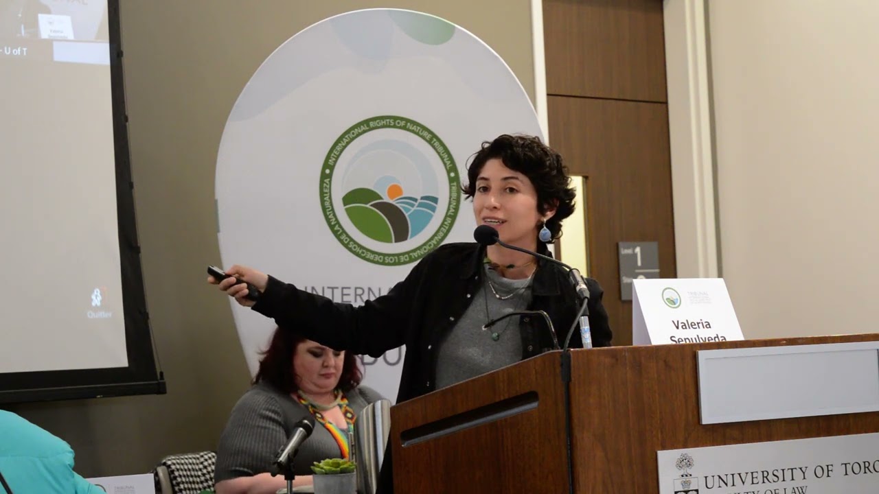 Chile: Aclara Resources Heavy Rare Earths Mining In Penco - Rights Of Nature Tribunal