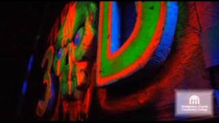 The Buzz -- PCTV Loop (2010)