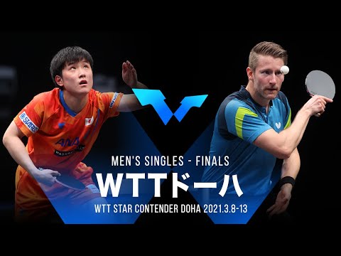 張本智和 vs フィルス｜WTT スターコンテンダー ドーハ 男子シングルス決勝