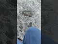 DÉCOUVREZ l'IA, la TECH et ses SURPRISANTES ÉTHIQUES! 🚀 #Shorts
