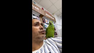 Owner Talking to Parrot Then They Laugh Together Same Tone