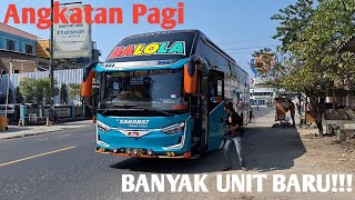 HUNTING BUS CIREBONAN ANGKATAN PAGI DIPALIMANAN!!!