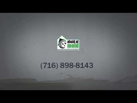 mold-remediation-&-mold-inspection-in-buffalo,-ny-|-ahold-of-mold-environmental