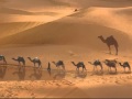 Cheb Khaled - La Camel
