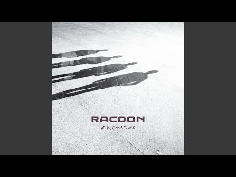 Shoes of Lightning - Racoon