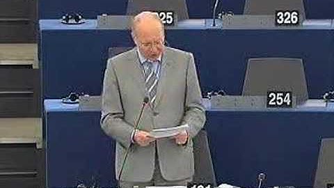 Andrew Duff on Verbatim Reports (amendment of Rule 173)