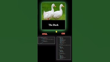 Hover Box Shadow  Scale Only HTML CSS