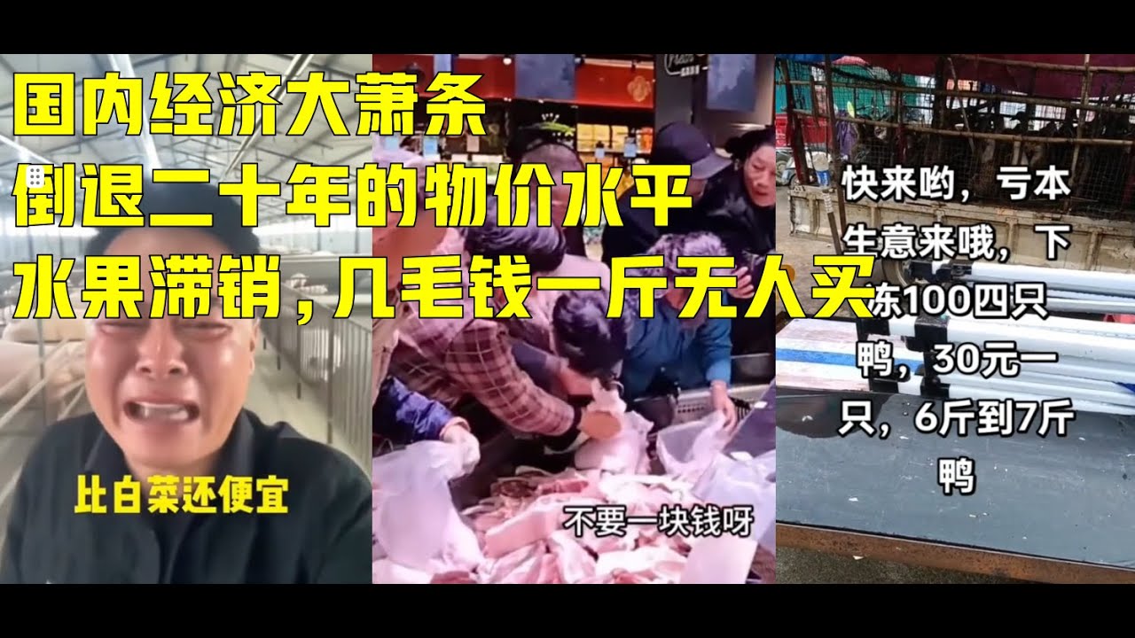 太恐怖了，災難已慢慢降臨！經濟严重蕭條！各行各业通缩加劇，物價全线下跌，猪肉不到2块钱斤，100元买4只鸭，水果滞销整车倒掉！｜
