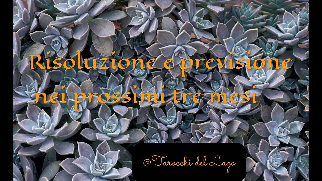 Risoluzione e previsione nei prossimi tre mesi 💛🌺🌸