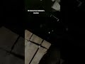 Кот поймал мышь Shorts Shortvideo Subscribe Cat Tomandjerry кот Кот поймал мышь Shorts Shortvideo Subscribe Cat Tomandjerry кот