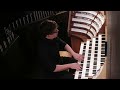 J. S. Bach: Toccata E-Dur BWV 566, Daniel Beckmann live an der Mainzer Domorgel