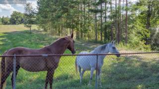 1176 Littleton Cutoff Road, Attalla AL 35954, USA