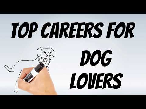 Video: 5 av de beste selskapene for hundelskere å jobbe på