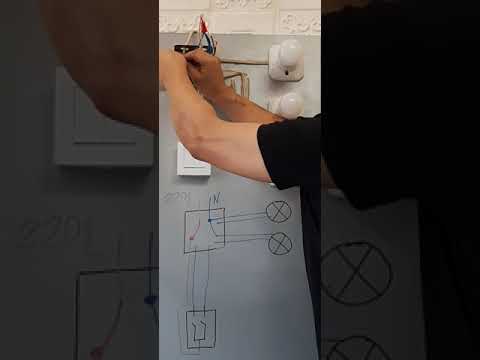Видео: Хоёр гэрлийн унтраалгыг яаж холбох вэ?