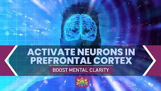 Activate Neurons In Prefrontal Cortex | Boost Mental Clarity, Concentration &amp; Cognitive Performance