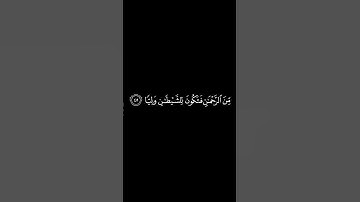 يا أبت إني قد جاءني من العلم ما لم يأتك/من سورة مريم/بصوت الشيخ ياسر الدوسري
