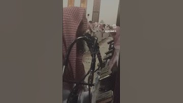 (سوره التكاثر ) محمد اللحيدان