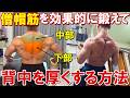 僧帽筋中部・下部を鍛えて背中の厚みを作る!フォームのポイントやおすすめ種目、ポージングの取り方等を徹底解説します