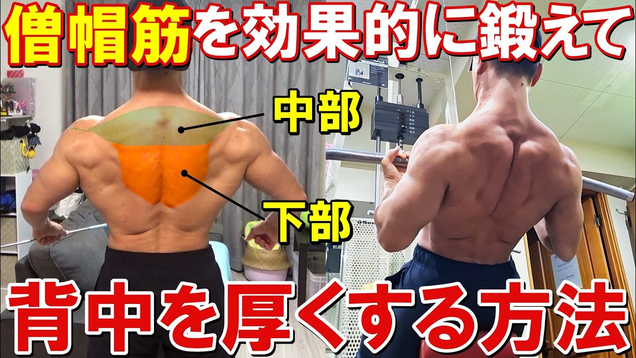 僧帽筋中部・下部を鍛えて背中の厚みを作る!フォームのポイントやおすすめ種目、ポージングの取り方等を徹底解説します