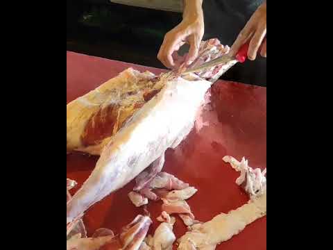 Tüm Kuzu parçalama